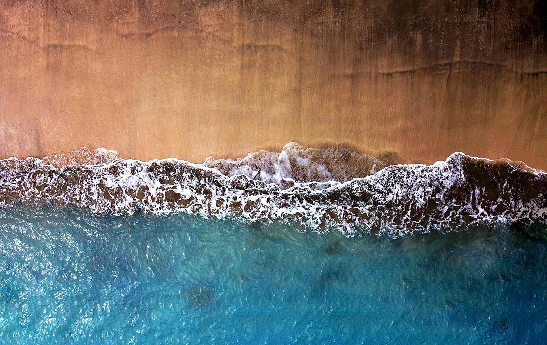 playa de las americas Vanilla Garden